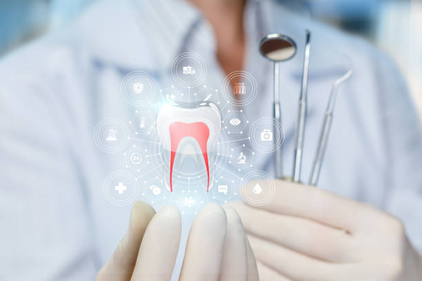 Best Dental Exams and Cleanings  in Perryville, MD